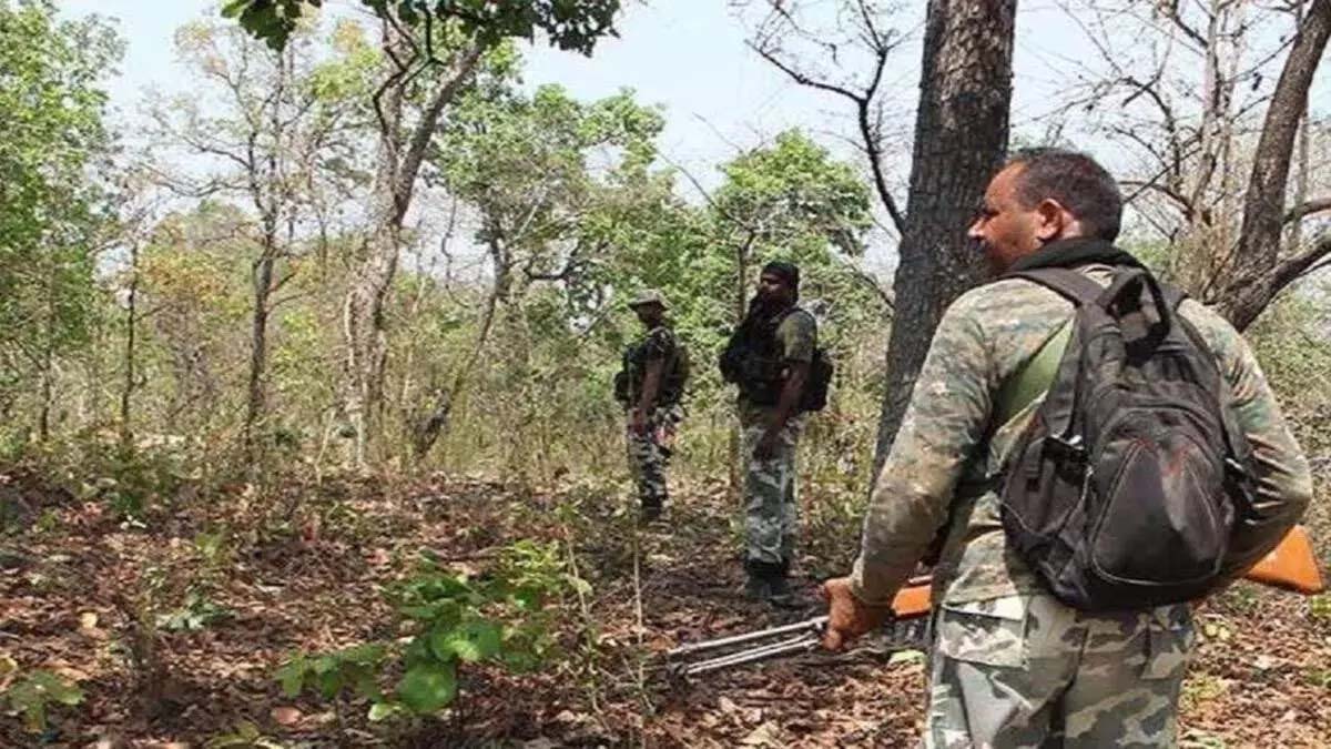 6 Naxalites killed, force gets big success in Bijapur