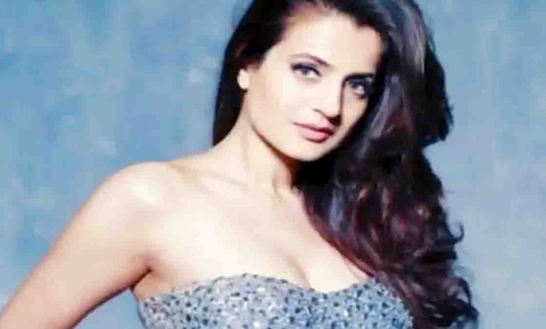 Court gave this big order to Ameesha Patel in check bounce case