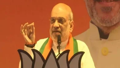 Shah urges BJP leaders to ensure party's victory in Lok Sabha and assembly elections