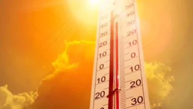 Heat wave alert issued for two days in parts of Andhra Pradesh