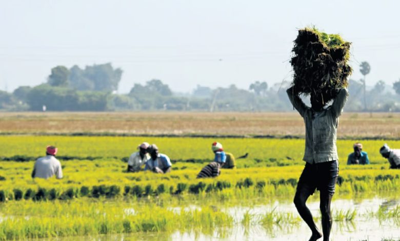 Lok Sabha Elections 2024: Tough contest in Tiruvallur, Tamil Nadu