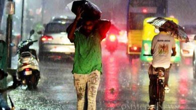 Relief from scorching heat due to rain in many parts of the state