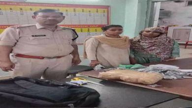 Woman smuggling ganja in Purani Basti arrested