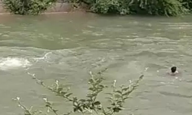 Laborer drowned in canal, Kotwali police searching