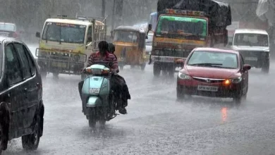 7 day IMD forecast for Telangana
