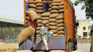 6.94 lakh metric tonnes of wheat reached the markets after harvesting was almost over