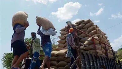 More than 6.2 lakh metric tonnes of wheat was purchased in the mandis in Amritsar