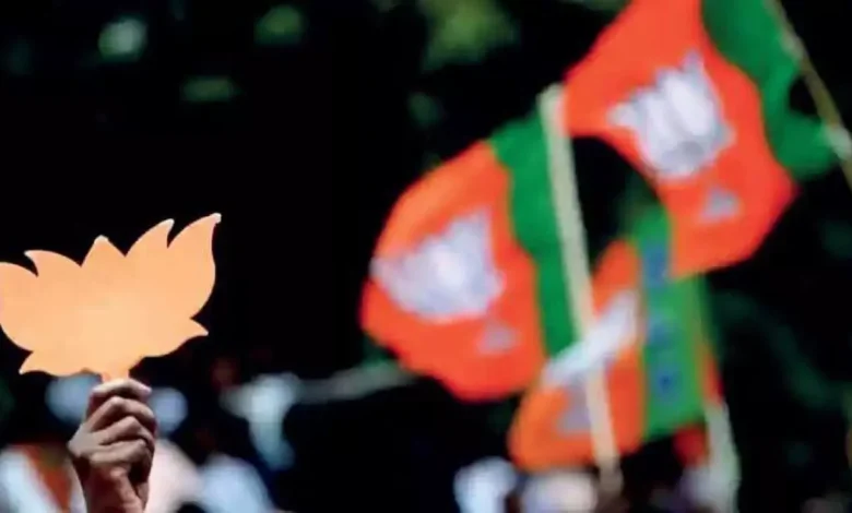 BJP's promises for Odisha get mixed response