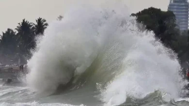 Cyclone warning issued for Kerala and South Tamil Nadu coast