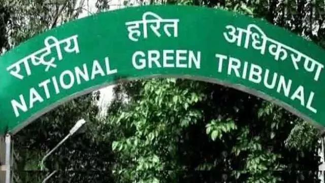 Goa News: NGT directs coastal monitoring body to conduct fresh inspection of Colva construction