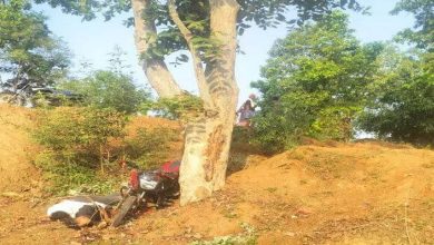 3 deaths in Raigarh, bike was speeding, major accident happened