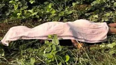 Heinous murder in MLA's village, dead body found lying in the field