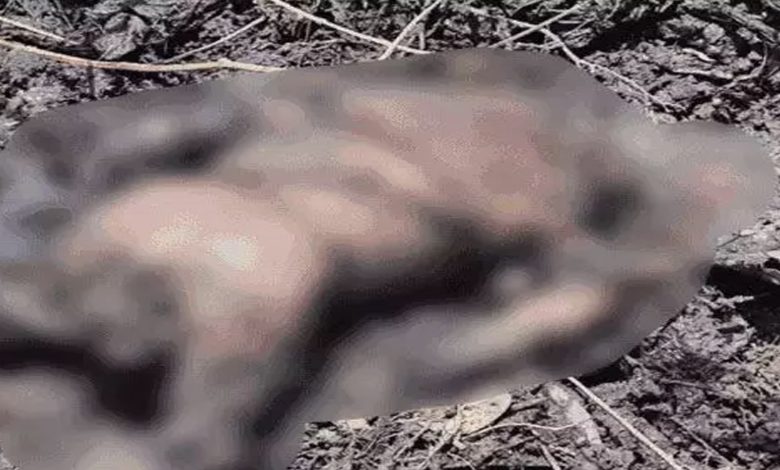 Dead body of newborn found in drain, people were worried due to bad smell
