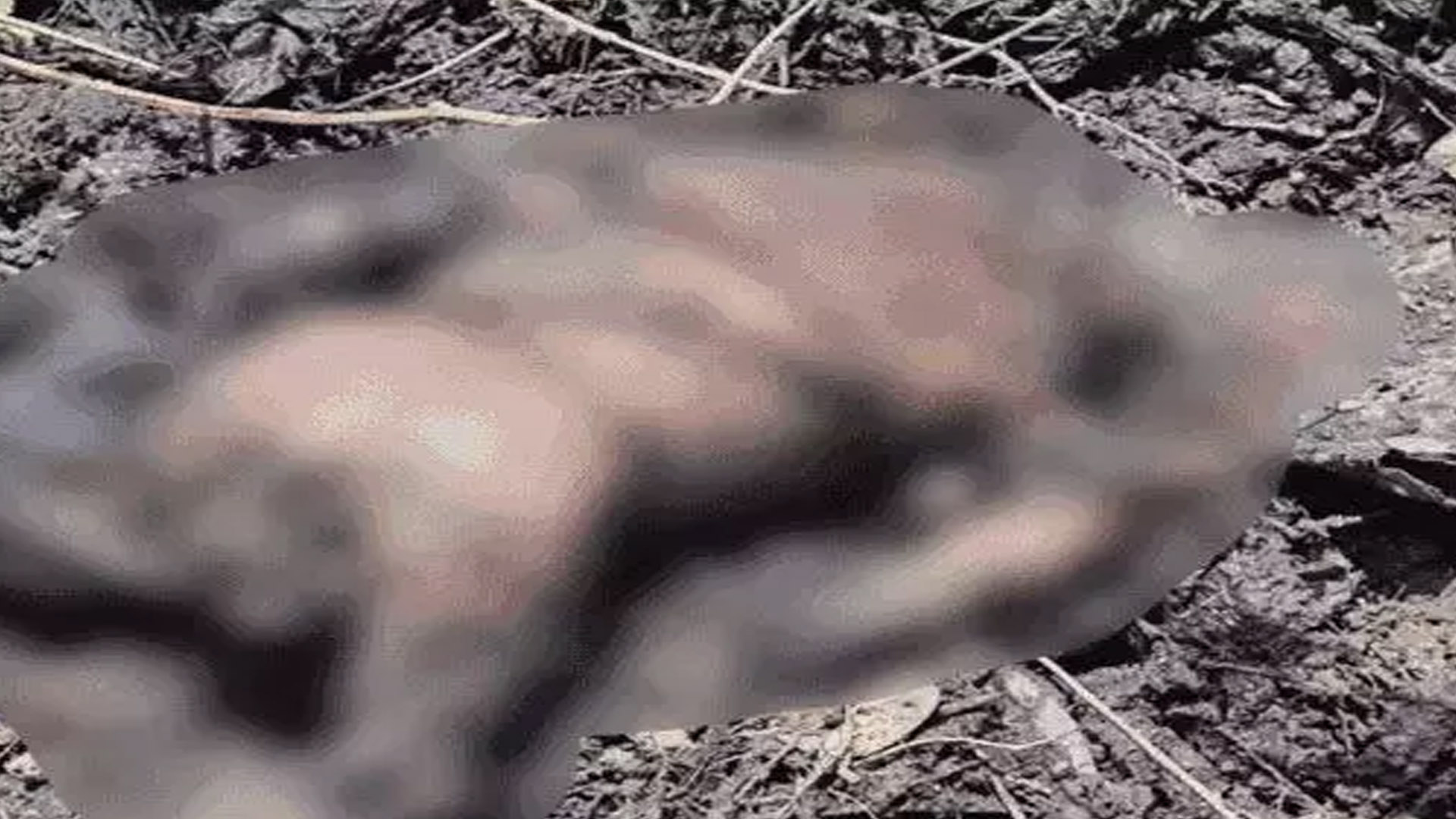 Dead body of newborn found in drain, people were worried due to bad smell