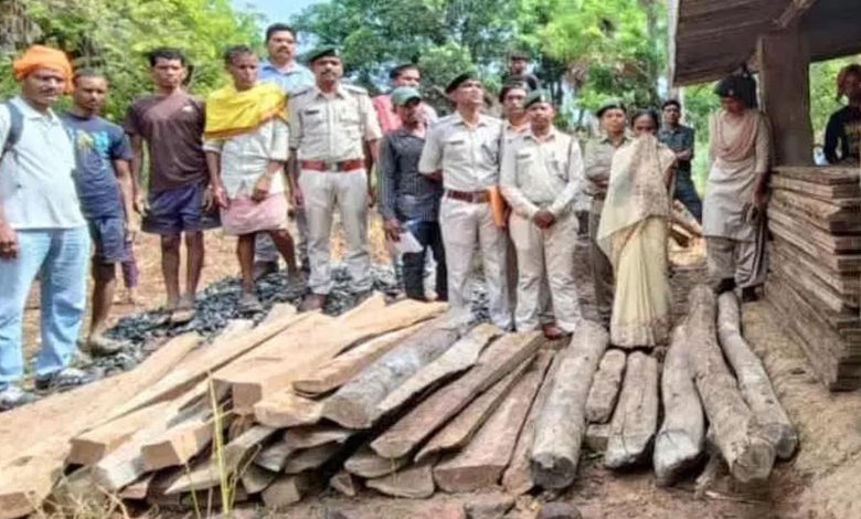 Teak wood worth Rs 2 lakh seized, forest department raids villagers here