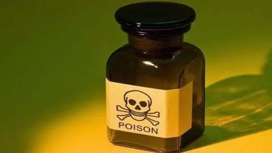 Husband forced wife to drink poison, created an atmosphere of mourning on wedding anniversary