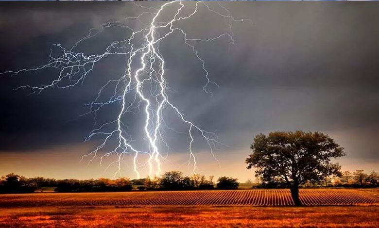 Lightning fell on uncle and nephew, one died