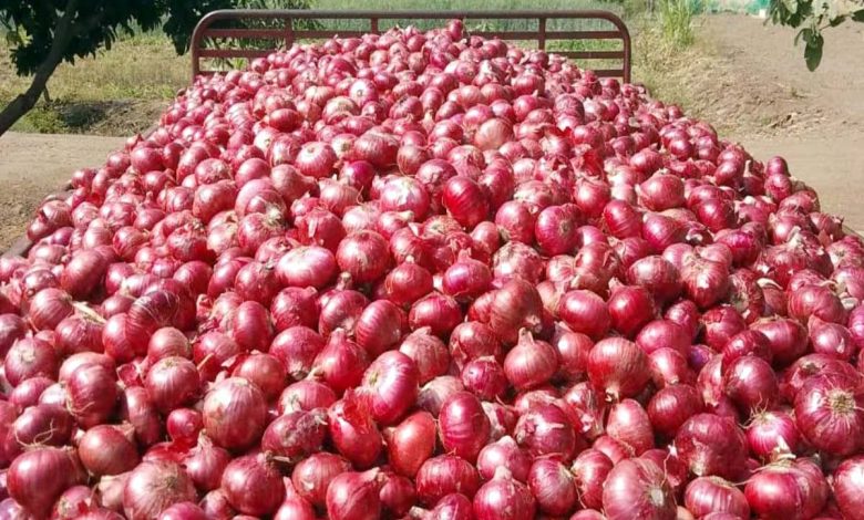 Government gave a big statement regarding onion amid elections