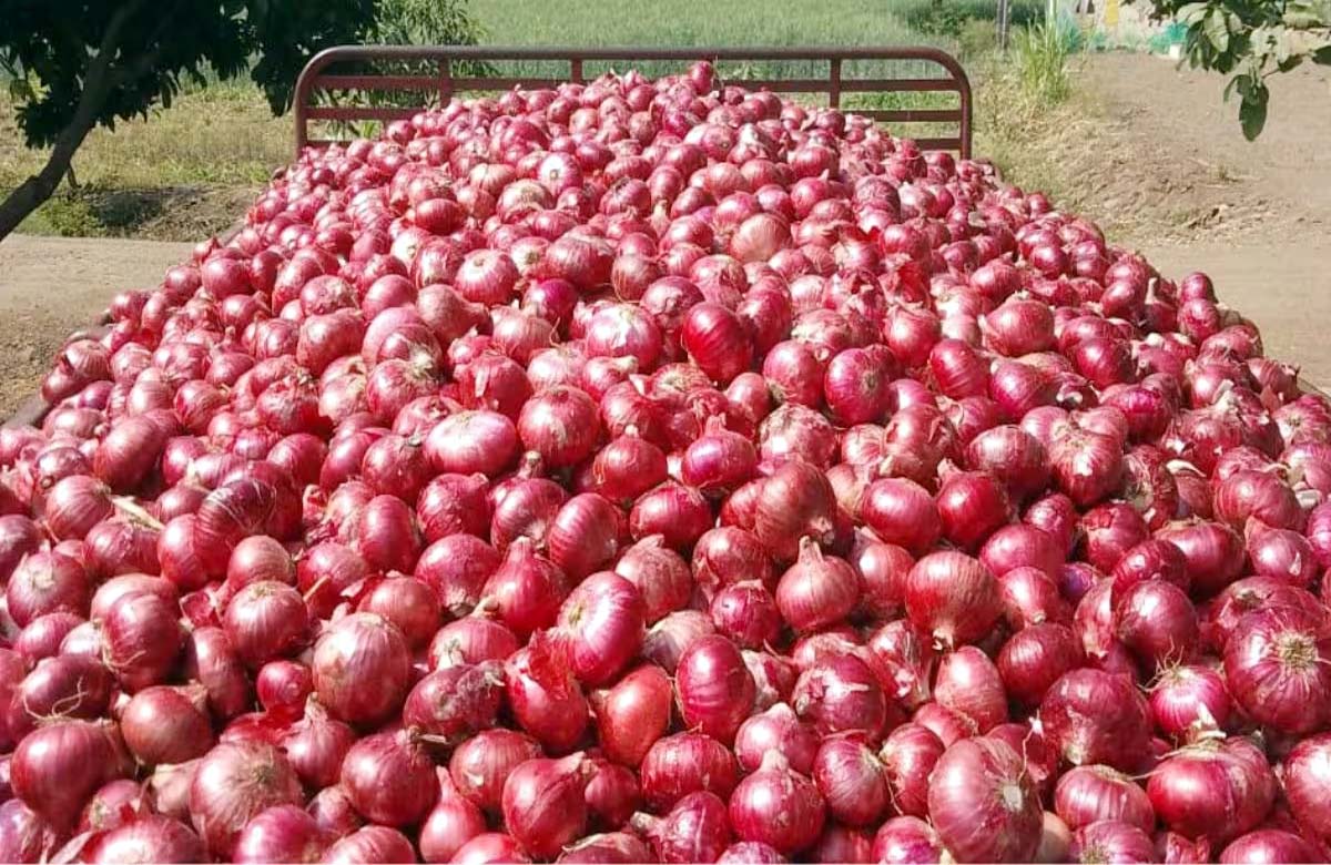 Government gave a big statement regarding onion amid elections