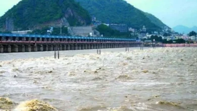 Andhra Pradesh News: Godavari water will be released in canals from today