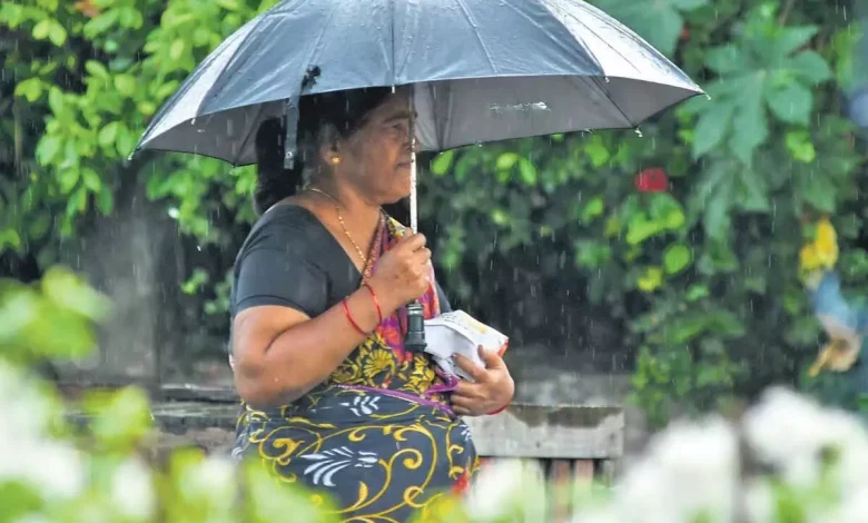 Andhra News: Thunderstorms likely in parts of Andhra Pradesh till June 11