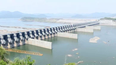 Andhra Pradesh News: Division helped Polavaram get national tag