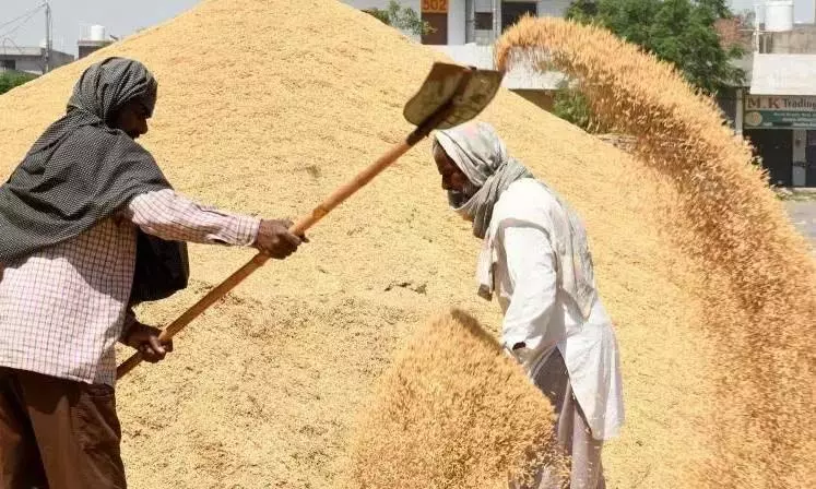 Telangana: Congress government sets record in grain procurement in southern states