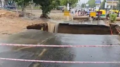 Road collapsed due to heavy rain in Gujarat, many trees fell