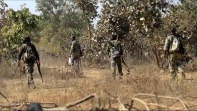 9 Naxalites arrested, force got big success in Bijapur
