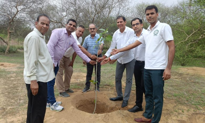 Churu: Plantation done in the Nature Park located at the district headquarters