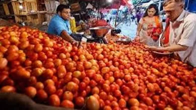 Sharp rise in tomato prices