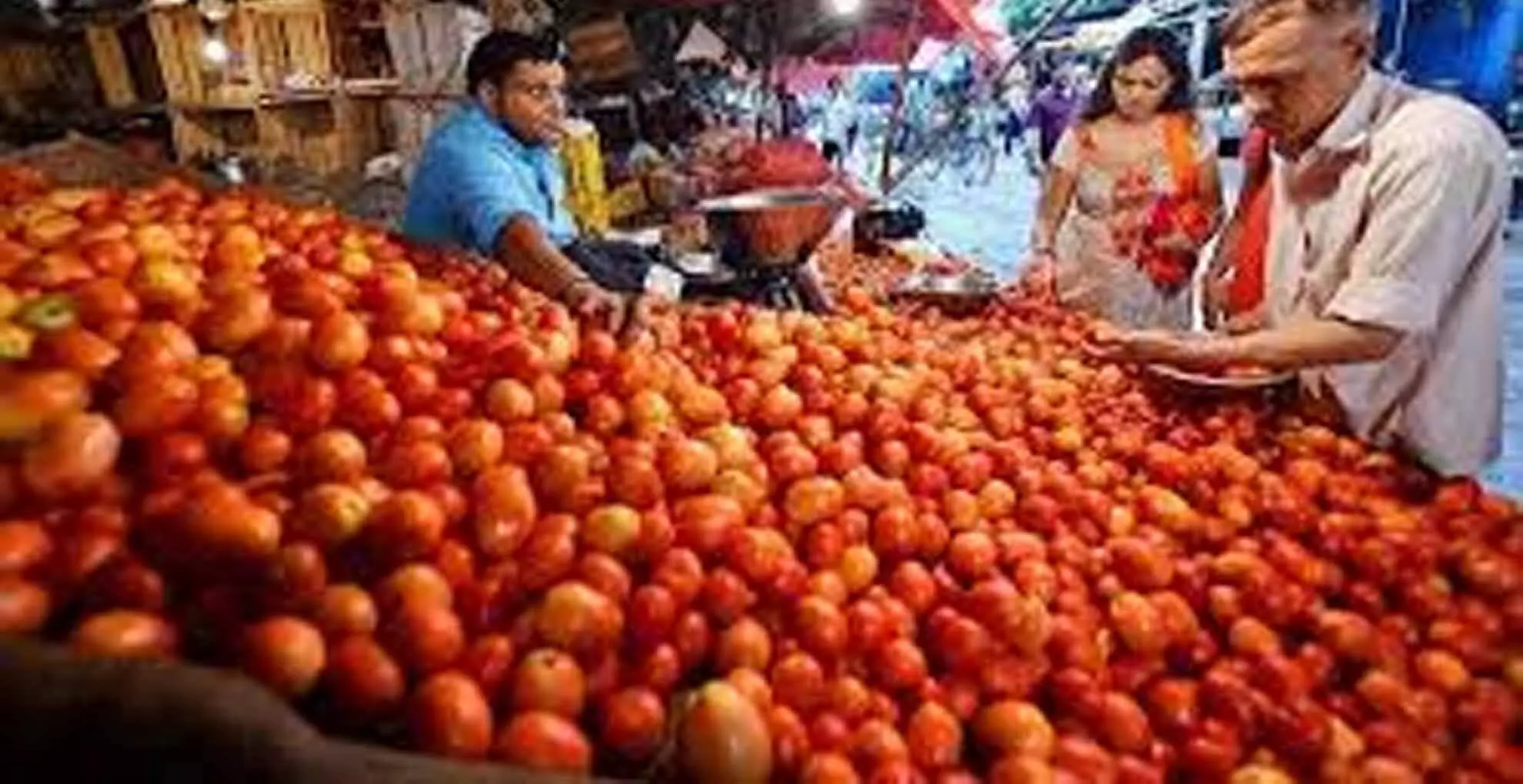 Sharp rise in tomato prices