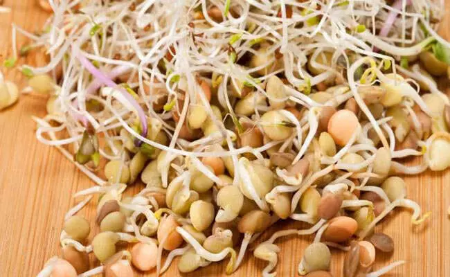 Life Style: Sprouted grains are a treasure trove of nutrients