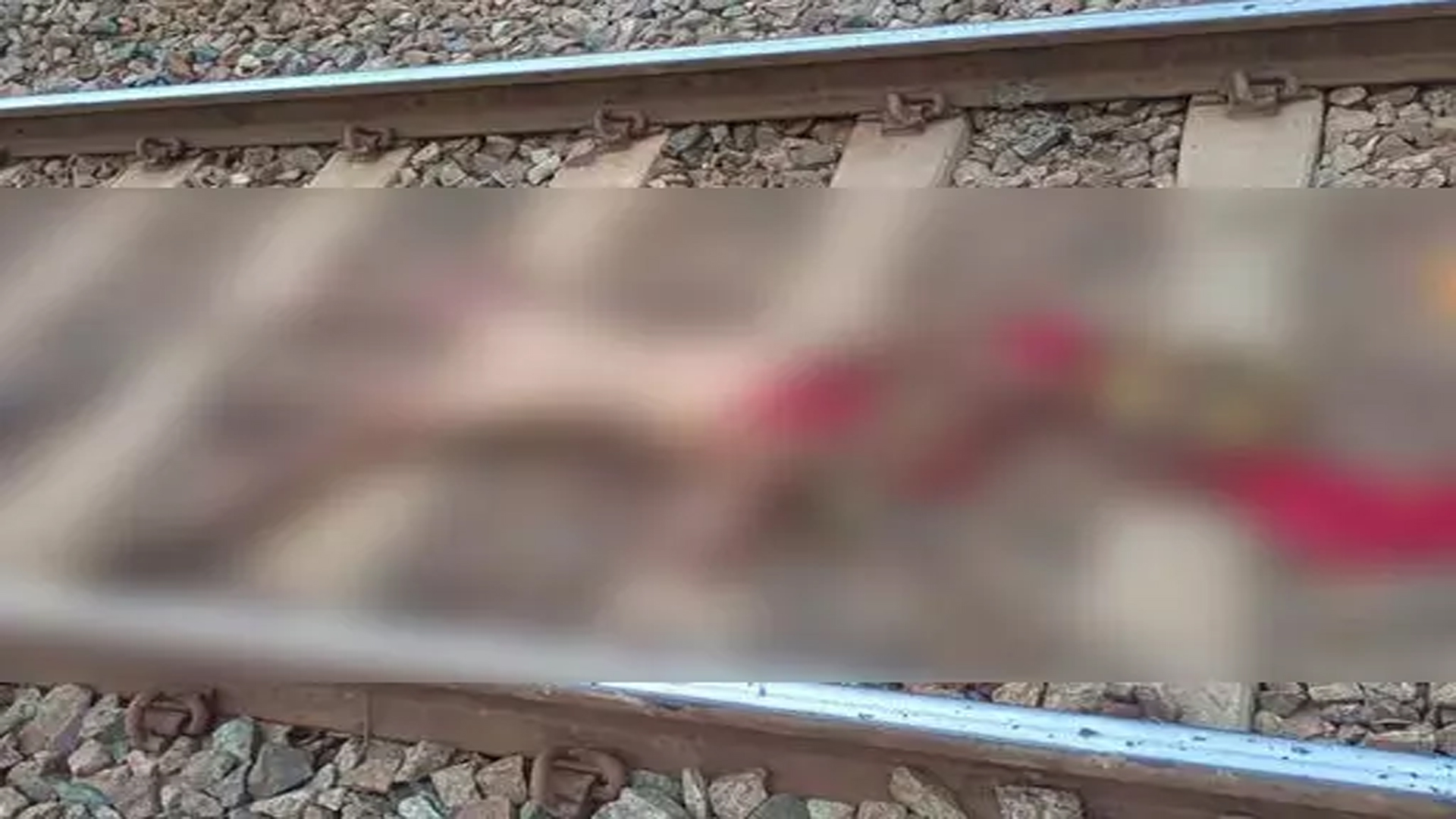 Woman found cut into pieces on railway track, suspected to have been murdered and thrown away