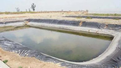 Bihar government will provide subsidy for construction of ponds