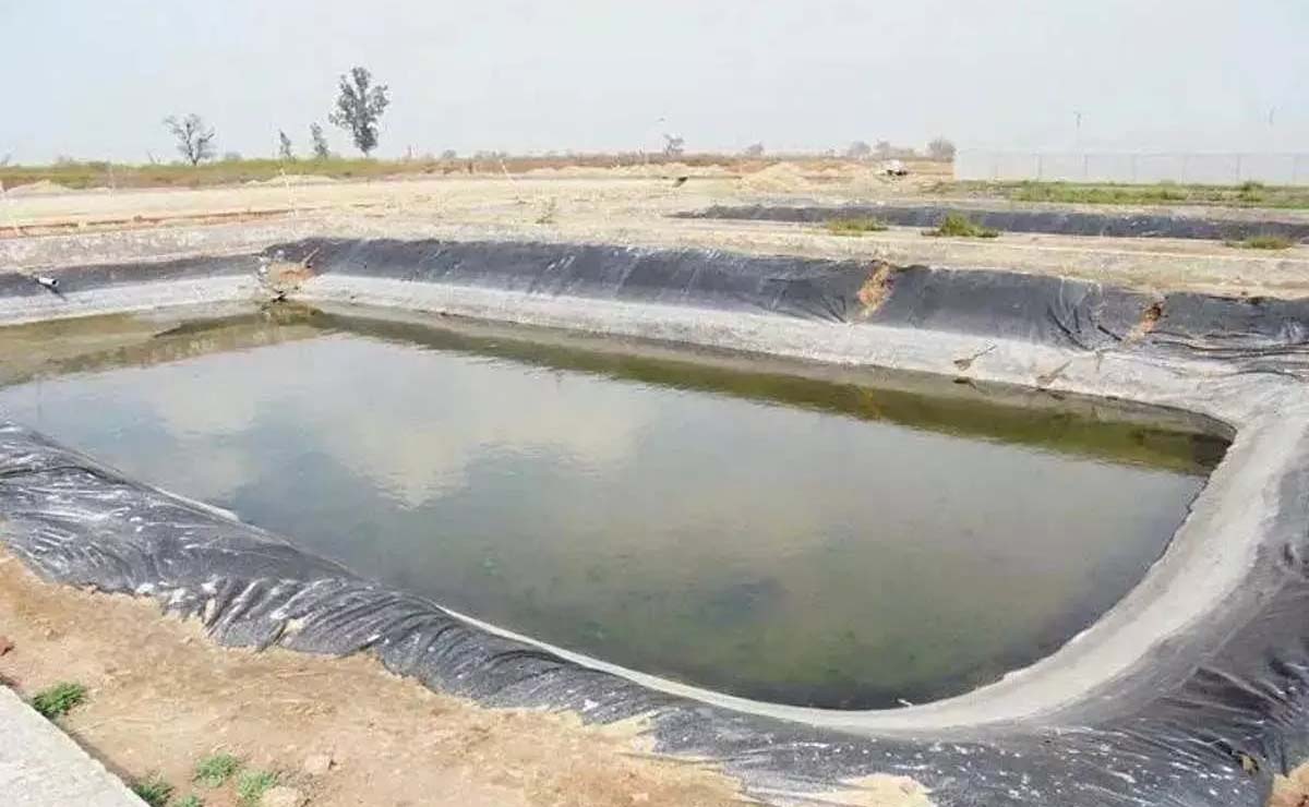 Bihar government will provide subsidy for construction of ponds