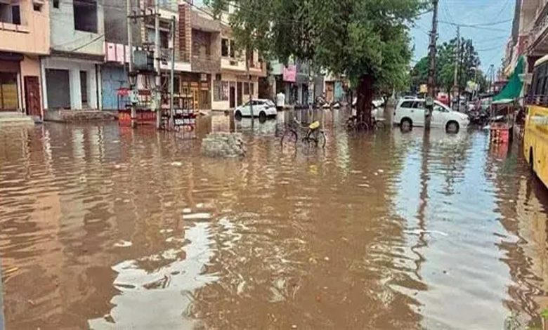 Fatehgarh: Drains clogged, trouble due to rain in Fatehgarh Sahib, Sirhind areas