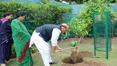 Rajnath Singh and his wife Savitri planted a tree under the "One tree in the name of mother" campaign