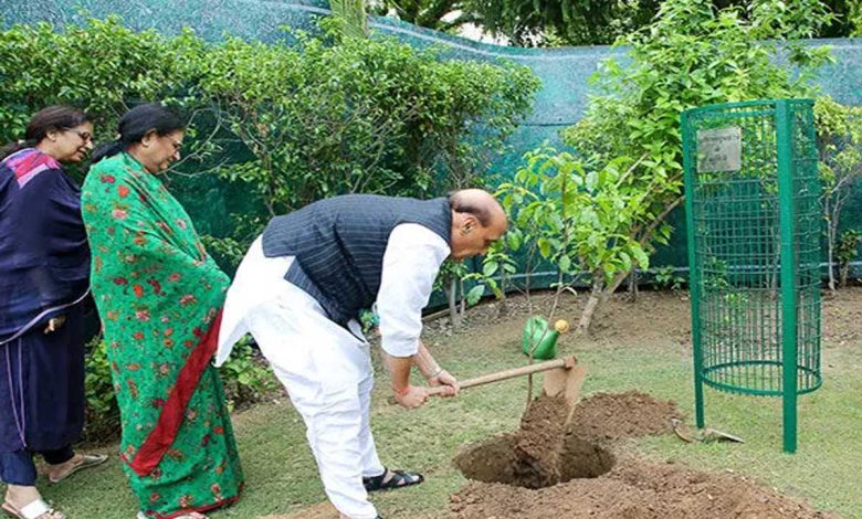 Rajnath Singh and his wife Savitri planted a tree under the "One tree in the name of mother" campaign