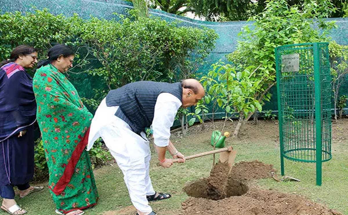 Rajnath Singh and his wife Savitri planted a tree under the "One tree in the name of mother" campaign