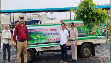 Jindal Saw lanza campaña de plantación de árboles y transmite mensaje de protección ambiental