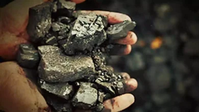 New Delhi: Higher coal production in June led to a drop in prices