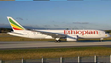 Ethiopian Airlines to build mega airport with annual capacity of 100 million passengers