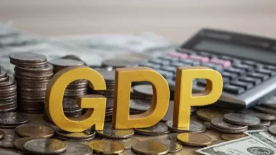 Statistics Ministry will work with states on local GDP data