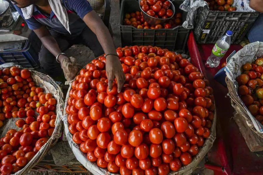 Tomato and poultry prices fell