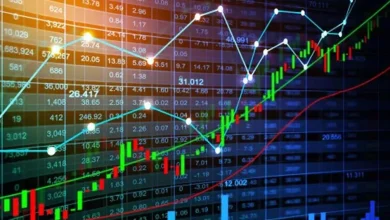 Stocks with more than 300% returns divided into 10 parts