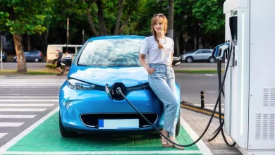 Subsidy on electric cars will be abolished