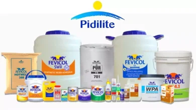 Pidilite Industries Q2 Results: Profit up 18.75%