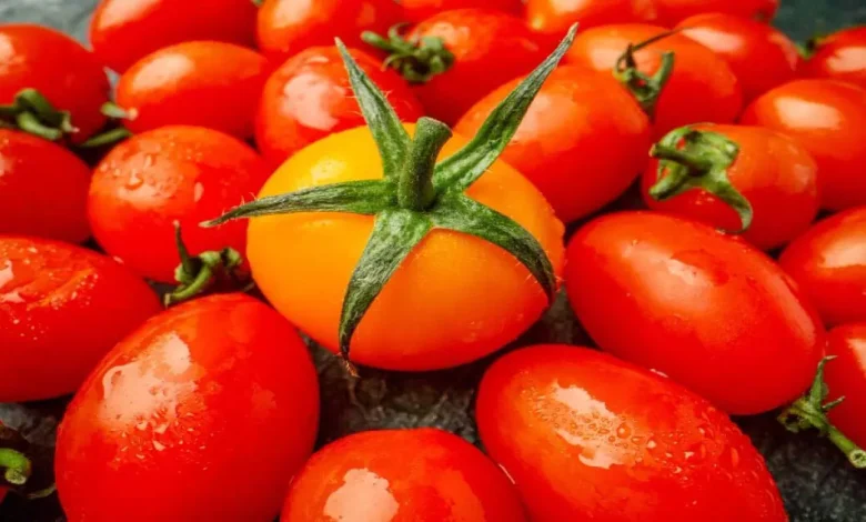 Tomato will be sold at Rs 65 per kg, Central Government's decision