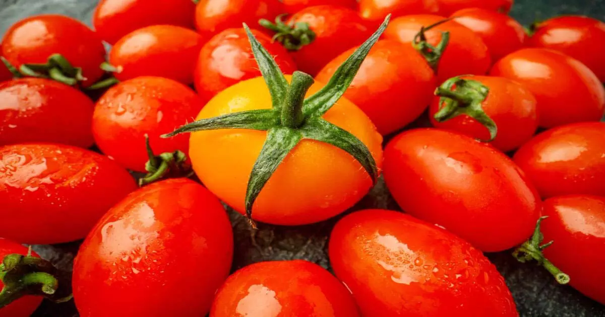 Tomato will be sold at Rs 65 per kg, Central Government's decision